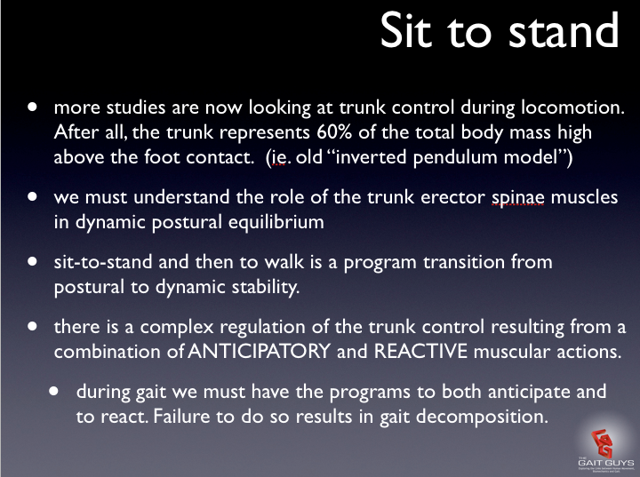 Trunk control in locomotion: What you may be realizing by now, if you have been with us here long enough, is that if you are getting good at the deepest of gait stuff, you are truly looking at your clients completely. You are considering vision, vestibular, cerebellar, postural patterns, sensory and motor aspects, movement patterns, proprioception, coordination, S.E.S., stability, mobility, compensation patterns, dual tasking abilities and so much more. We are working on new presentations and projects, soon for your eyes. Here is a slide from a new presentation to wet your whistle.