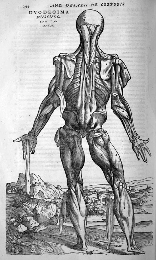 More effective stretching, Part 2
Last week we looked at one ( of many ) methods to make stretching more effective, utilizing a neurological reflex called “reciprocal inhibition” If you missed that one, or need a review, click here .
Another way to get muscles to the end range of motion is to utilize a technique called “post isometric relaxation”. Notice I did not say to lengthen the muscle ; to actually add sarcomeres to a muscle you would need to use a different technique. Click here to read that post.
Contracting a muscle before stretching is believed to take advantage of a post isomteric inhibition (sometimes called autogenic inhibition), where the muscle is temporarily inhibited from contracting for a period immediately following a isometric contraction. This has been popularized by the PNF stretching techniques, such as “contract hold” or “contract relax” . EMG studies do jot seem to support this and actually show muscle activation remains the same (1, 2) or increased after contraction (3-6). Perhaps it is due to an increased stretch tolerance (7,8).
The technique was 1st described by Mitchell, Morgan and Pruzzo in 1979 (9). These gents felt it was important to utilize a maximal contraction (using 75-100% of contractile force) to get to have the effect. It was later shown by Feland and Marin (10) that a more minimal, submaximal contraction of 20-60% accomplished the same thing. Lewit felt that a less forceful contraction offers the same results, and combined respiratory assists (inspiration facilitates contraction, expiration facilitates relaxation) with this technique (11). Interestingly, there are bilateral increases in range of motion with this type of stretching, indicating a cross over effect (12). Regardless of the mechanism, the phenomenon happens and we can take advantage of it.
This is how you do it:
Bring the muscle to its end range (maximum length) without stretching, taking up the slack. This should be painless, as this will elicit a different neurological reflex that may actually increase muscle tone.
resist with a minimal isometric contraction (20-60%) and hold for 10 seconds. You can inspire to enhance the effect.
relax and exhale slowly. It is important to wait and feel the relaxation. Stretch through the entire period of the relaxation. You should feel a lengthening of the muscle.
repeat this 3-5 times
This technique can also be used with the force of gravity offering isometric resistance. In a hamstring stretch, you could lean forward while maintaining the lumbar lordosis and allowing the weight of the upper body to provide the stretch.
Wasn’t that easy? Now you have another tool in your toolbox for yourself or your clients.
The Gait Guys. Giving you useful information and explanations in each and every post.
Magnusson SP, Simonsen EB, Aagaard P, Sorensen H, Kjaer M. A mechanism for altered flexibility in human skeletal muscle. J Physiol. Nov 15 1996;497 (Pt 1):291–298
Cornelius WL. Stretch evoked EMG activity by isometric coontraction and submaximal concentric contraction. Athletic Training. 1983;18:106–109
Condon SM, Hutton RS. Soleus muscle electromyographic activity and ankle dorsiflexion range of motion during four stretching procedures. Phys Ther. Jan 1987;67(1):24–30
Mitchell UH, Myrer JW, Hopkins JT, Hunter I, Feland JB, Hilton SC. Neurophysiological reflex mechanisms’ lack of contribution to the success of PNF stretches. J Sport Rehabil. 2009;18:343–357
Youdas JW, Haeflinger KM, Kreun MK, Holloway AM, Kramer CM, Hollman JH. The efficacy of two modified proprioceptive neuromuscular facilitation stretching techniques in subjects with reduced hamstring muscle length. Physiother Theory Pract. May 2010;26(4):240–250
Osternig LR, Robertson R, Troxel R, Hansen P. Muscle activation during proprioceptive neuromuscular facilitation (PNF) stretching techniques. American journal of physical medicine. Oct 1987;66(5):298–307
Mahieu NN, Cools A, De Wilde B, Boon M, Witvrouw E. Effect of proprioceptive neuromuscular facilitation stretching on the plantar flexor muscle-tendon tissue properties. Scandinavian journal of medicine & science in sports. Aug 2009;19(4):553–560
Mitchell UH, Myrer JW, Hopkins JT, Hunter I, Feland JB, Hilton SC. Acute stretch perception alteration contributes to the success of the PNF “contract-relax” stretch. J Sport Rehabil. May 2007;16(2):85–92
Mitchell F Jr., Moran PS, Pruzzo NA: An Evaluation of Osteopathic Muscle Energy Procedures. Pruzzo, Valley Park, 1979.
Feland JB, Marin HN. Effect of submaximal contraction intensity in contract-relax proprioceptive neuromuscular facilitation stretching. Br J Sports Med. Aug 2004;38(4):E18.
Lewit K: Postisometric relaxation in combination with other methods of muscular facilitation and inhibition. Man Med, 1986, 2:101-104.
Markos PD. Ipsilateral and contralateral effects of proprioceptive neuromuscular facilitation techniques on hip motion and electromyographic activity. Phys Ther. Nov 1979;59(11):1366–1373