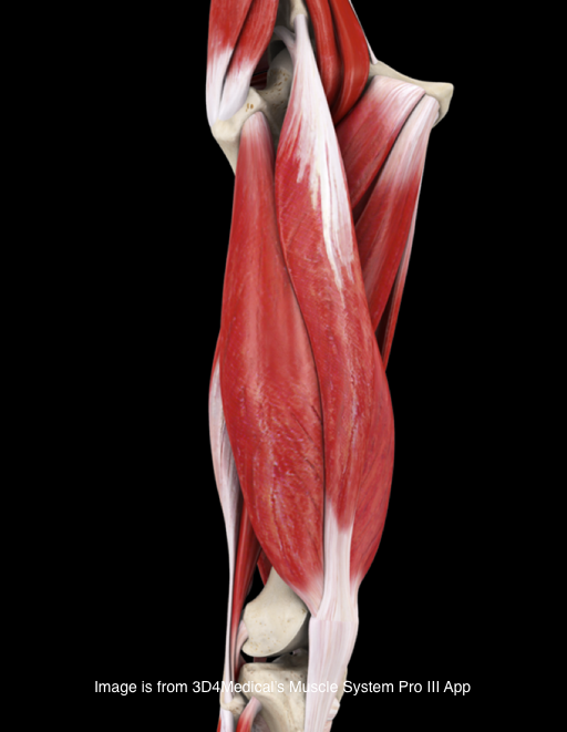 tumblr_mvcjetUi171qhko2so2_540.png