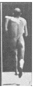 Though you weigh less when naked, it doesn’t mean you are more efficient…
“Running barefoot offers no metabolic advantage over running in lightweight, cushioned shoes.”
This study looked at VO2 max (ie. the bodies ability to utilize oxygen, or more precisely, the maximal oxygen uptake or the maximum volume of oxygen that can be utilized in one minute during maximal or exhaustive exercise. It is measured as milliliters of oxygen used in one minute per kilogram of body weight ).
The study found that VO2 increased as weight was added to the foot, whether or not ehy were wearing shoes AND there was not significant difference.
“V˙O(2) increased by approximately 1% for each 100 g added per foot, whether barefoot or shod (P < 0.001). However, barefoot and shod running did not significantly differ in V˙O(2) or metabolic power. A consequence of these two findings was that for footwear conditions of equal mass, shod running had ∼3%-4% lower V˙O(2) and metabolic power demand than barefoot running (P < 0.05).”
An interesting finding was that VO2 was actually 3-4% less for shod running than barefoot, indicating increased metabolic efficiency (albeit small) for shoes .
Why? Our theory is increased biomechanical efficiency with shoes. Shoes, creating less pronatory force and accessory motion (due to cushioning and constraints of the shoe; ie it takes some of the complexity out of the motion) created a more rigid lever with better force transduction.
The Gait Guys. Asking the hard questions and giving you the facts with each post.
Med Sci Sports Exerc. 2012 Aug;44(8):1519-25. doi: 10.1249/MSS.0b013e3182514a88.
Metabolic cost of running barefoot versus shod: is lighter better?
Franz JR , Wierzbinski CM , Kram R .
Source
Locomotion Lab, Department of Integrative Physiology, University of Colorado, Boulder, CO, USA. jason.franz@colorado.edu
Abstract
PURPOSE:
Based on mass alone, one might intuit that running barefoot would exact a lower metabolic cost than running in shoes. Numerous studies have shown that adding mass to shoes increases submaximal oxygen uptake (V˙O(2)) by approximately 1% per 100 g per shoe. However, only two of the seven studies on the topic have found a statistically significant difference in V˙O(2) between barefoot and shod running. The lack of difference found in these studies suggests that factors other than shoe mass (e.g., barefoot running experience, foot strike pattern, shoe construction) may play important roles in determining the metabolic cost of barefoot versus shod running. Our goal was to quantify the metabolic effects of adding mass to the feet and compare oxygen uptake and metabolic power during barefoot versus shod running while controlling for barefoot running experience, foot strike pattern, and footwear.
METHODS:
Twelve males with substantial barefoot running experience ran at 3.35 m·s with a midfoot strike pattern on a motorized treadmill, both barefoot and in lightweight cushioned shoes (∼150 g per shoe). In additional trials, we attached small lead strips to each foot/shoe (∼150, ∼300, and ∼450 g). For each condition, we measured the subjects’ rates of oxygen consumption and carbon dioxide production and calculated metabolic power.
RESULTS:
V˙O(2) increased by approximately 1% for each 100 g added per foot, whether barefoot or shod (P < 0.001). However, barefoot and shod running did not significantly differ in V˙O(2) or metabolic power. A consequence of these two findings was that for footwear conditions of equal mass, shod running had ∼3%-4% lower V˙O(2) and metabolic power demand than barefoot running (P < 0.05).
CONCLUSIONS:
Running barefoot offers no metabolic advantage over running in lightweight, cushioned shoes.
PMID: 22367745 http://www.ncbi.nlm.nih.gov/pubmed/22367745
all material copyright 2013 The Gait Guys/The Homunculus Group .