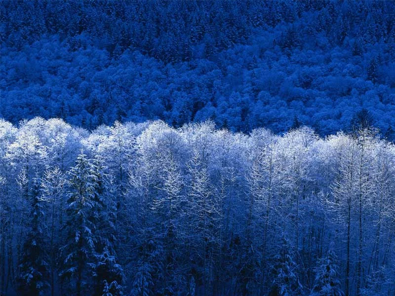 What lies behind us and what lies before us are tiny matters compared to what lies within us.
Ralph Waldo Emerson
Happy Holidays.
Ivo and Shawn