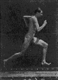tumblr_m2qko2JVG71qhko2so1_250.gif