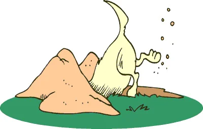 Keep Digging We are often asked by coaches, trainers, runners, therapists or folks on the internet sending us video clips “What is wrong with this gait?” or “Why do I have pain?”. Sometimes, we are able to provide an explanation which seems too simple, but is often correct. Things usually are more simple than one makes them out to be. It often corrects the immediate problem, only to have another crop up a few weeks later. Why? To paraphrase from the words of SHREK; peoples compensations are like onions; they have layers. It is not that you were incorrect, not at all. You may have been correct for “that” issue. But, uncovering and remedying one problem often leads us to the next weakest link in the chain. We still have fond memories of Dr Ted Carrick grilling us in the post graduate neurology program “What is the longitudinal level of the lesion? Most pathologies occur at one locus; if you diagnose more than one, it is usually due to metastasis, multiple vascular occlusions, or clinical incompetence. Is the lesion at the receptor, the effector, the peripheral nerve, the spinal cord, the brainstem, the thalamus, the cerebellum or cerebrum”. The information to glean here is that often we need to establish and limit our focus to ONE area where the problem could be, and sort out that issue first. This necessitates us thinking through the problem and coming up with ONE problem which could cause all the problems you are seeing. This applies to gait and motion assessment as well. Think of the patient with right sided knee pain caused by patellar tracking issues. Is the retro patellar inflammation the cause? Not usually (unless there has been direct trauma), it is often the symptom (or compensation). Maybe the cause is a forefoot varus deformity causing abnormal knee mechanics because they cannot descend the 1st ray adequately. Maybe this is due to insufficient extensor hallicus brevis function, or is it the peroneus longus? Maybe it is due to a congenital deformity of the foot. Maybe it is due to a functional (or anatomical) leg length discrepancy. Or maybe it is a problem with the left shoulder affecting tandem arm swing with that leg ? … you get the idea. Keep looking and digging until you have found the 1 THING that can explain what is going on. Maybe it’s the individual; maybe it’s their footwear. maybe it is remnants of unresolved factors from an old ankle sprain, old fracture maybe something else. Maybe a c-section scar disabling the abdominal wall and reducing the anchoring capacity of the abdominals into the hip thus impairing the quadriceps and thus knee tracking ? The possibilities are endless. If you can’t explain it by a single problem or fault, maybe it is time to run some blood work, send them for a vascular flow analysis, or more often than not; expand our knowledge base. We are The Gait Guys … Two guys digging deeper and looking for the cause.