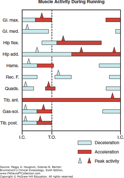 brunkine6_ch12_f0018-2.png