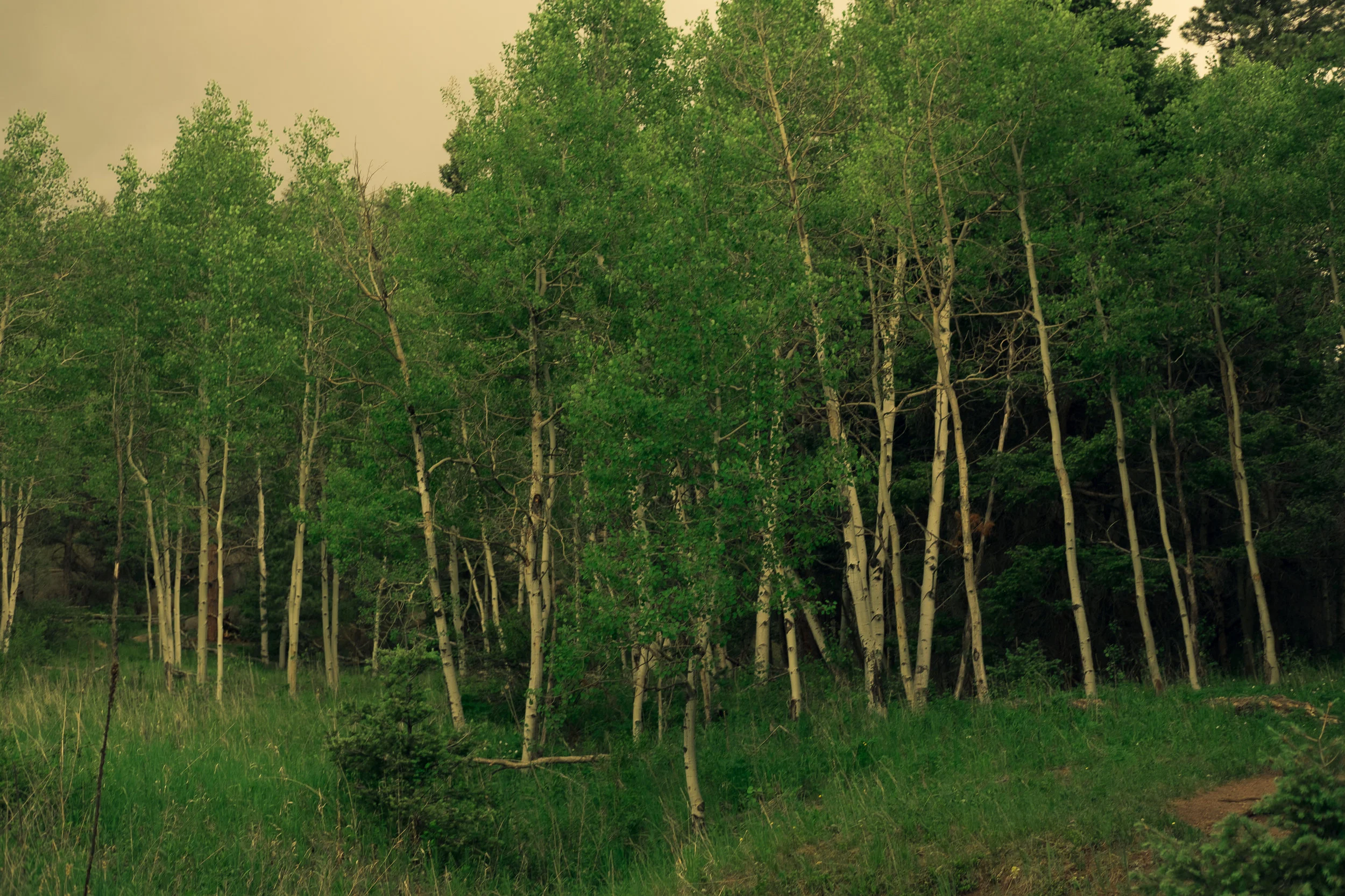 colorado day 1 (20 of 178).jpg