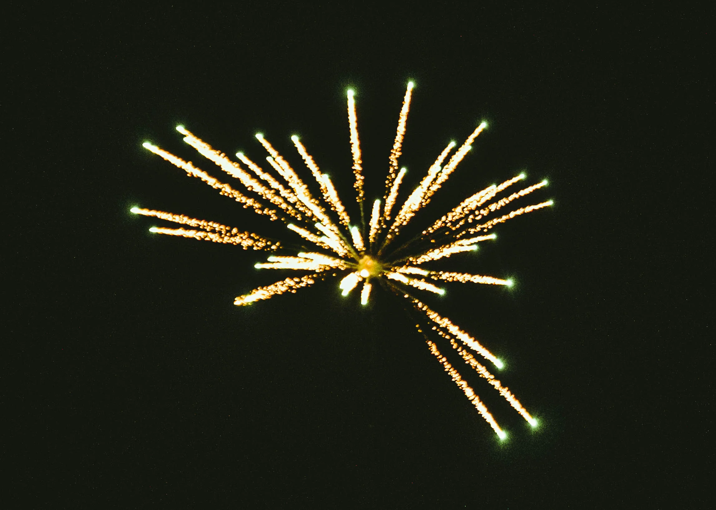fourth of july (92 of 98).jpg