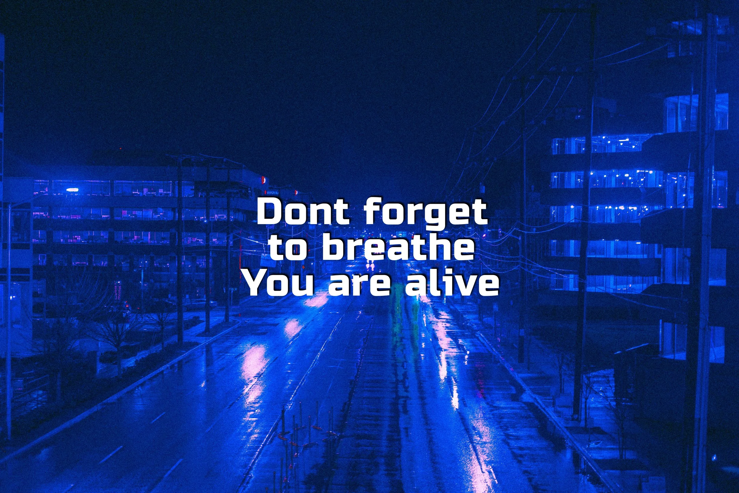 Enlight821.JPG
