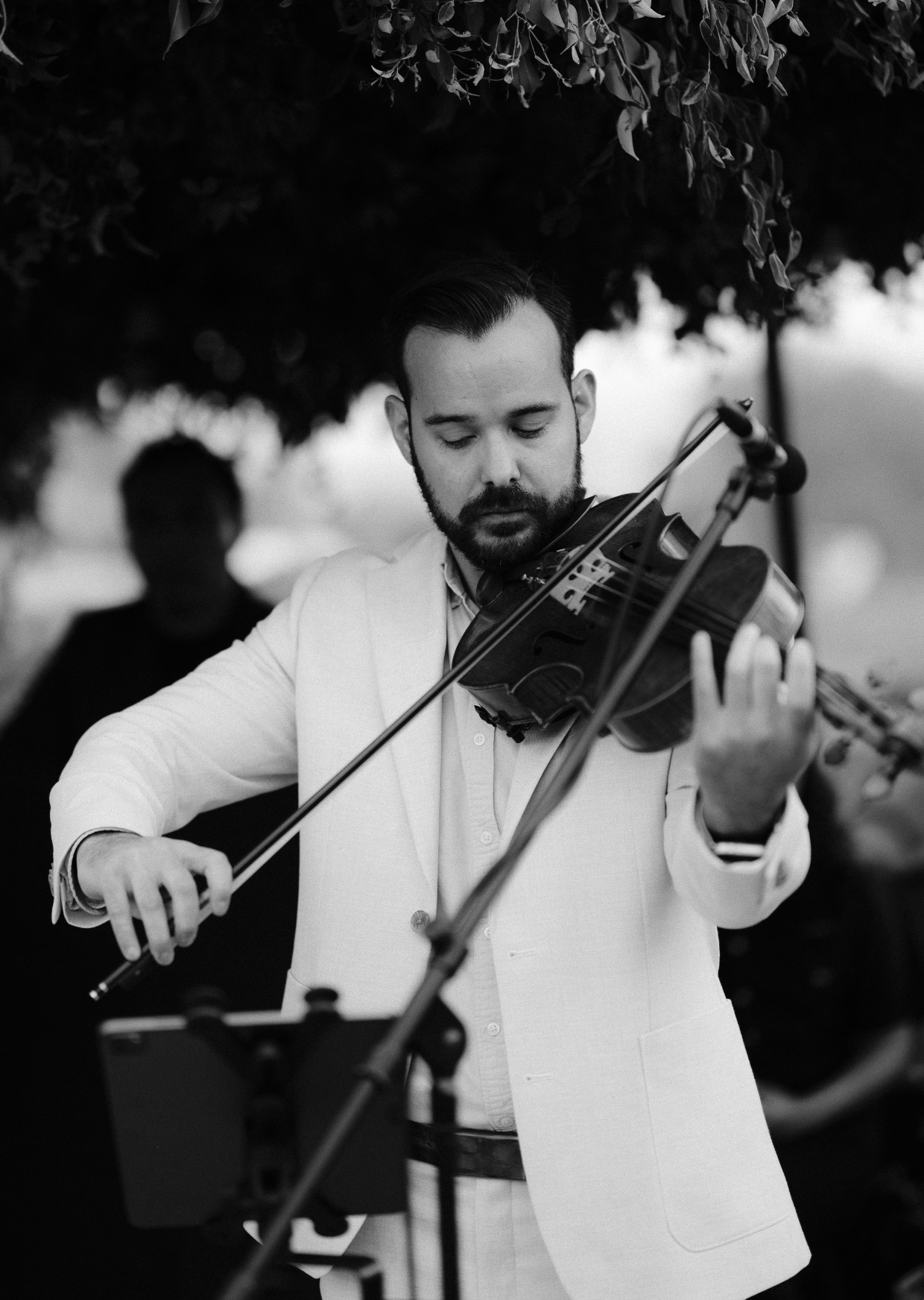 DanielArocha_Violin.png