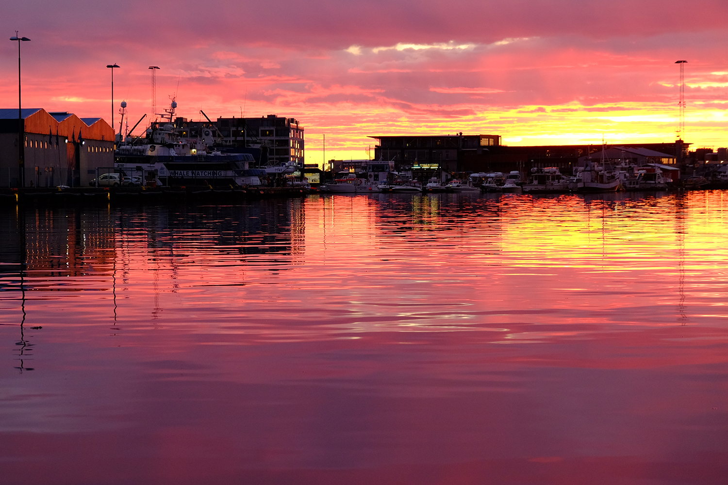 Icelandic Sunset