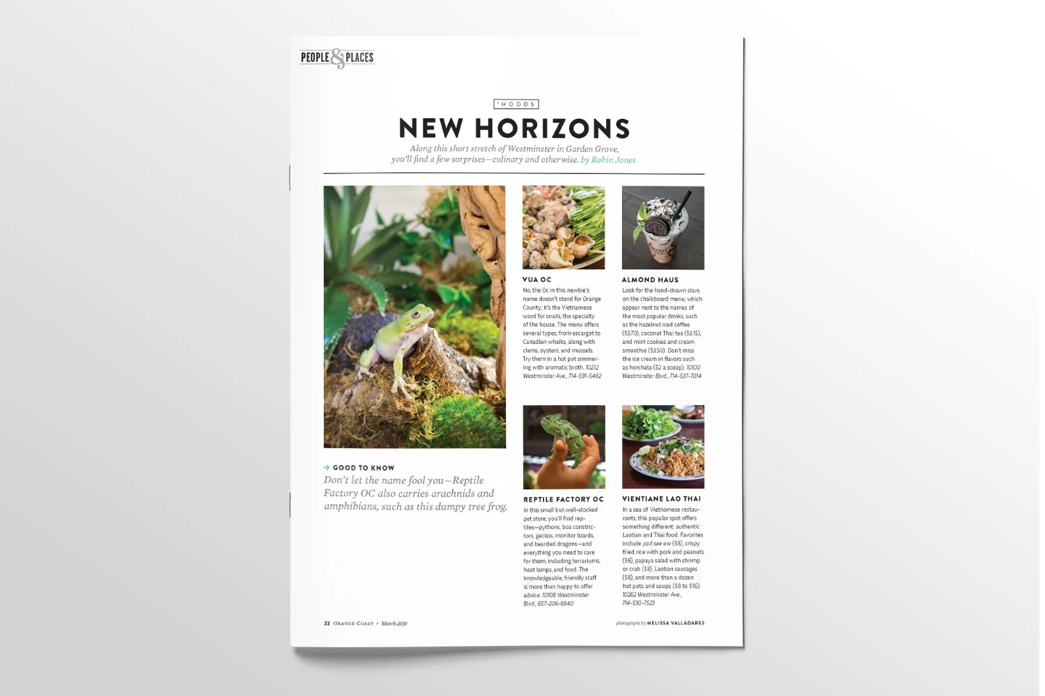 OCMAG_Hoods_March_Portfolio_SinglePg.jpg