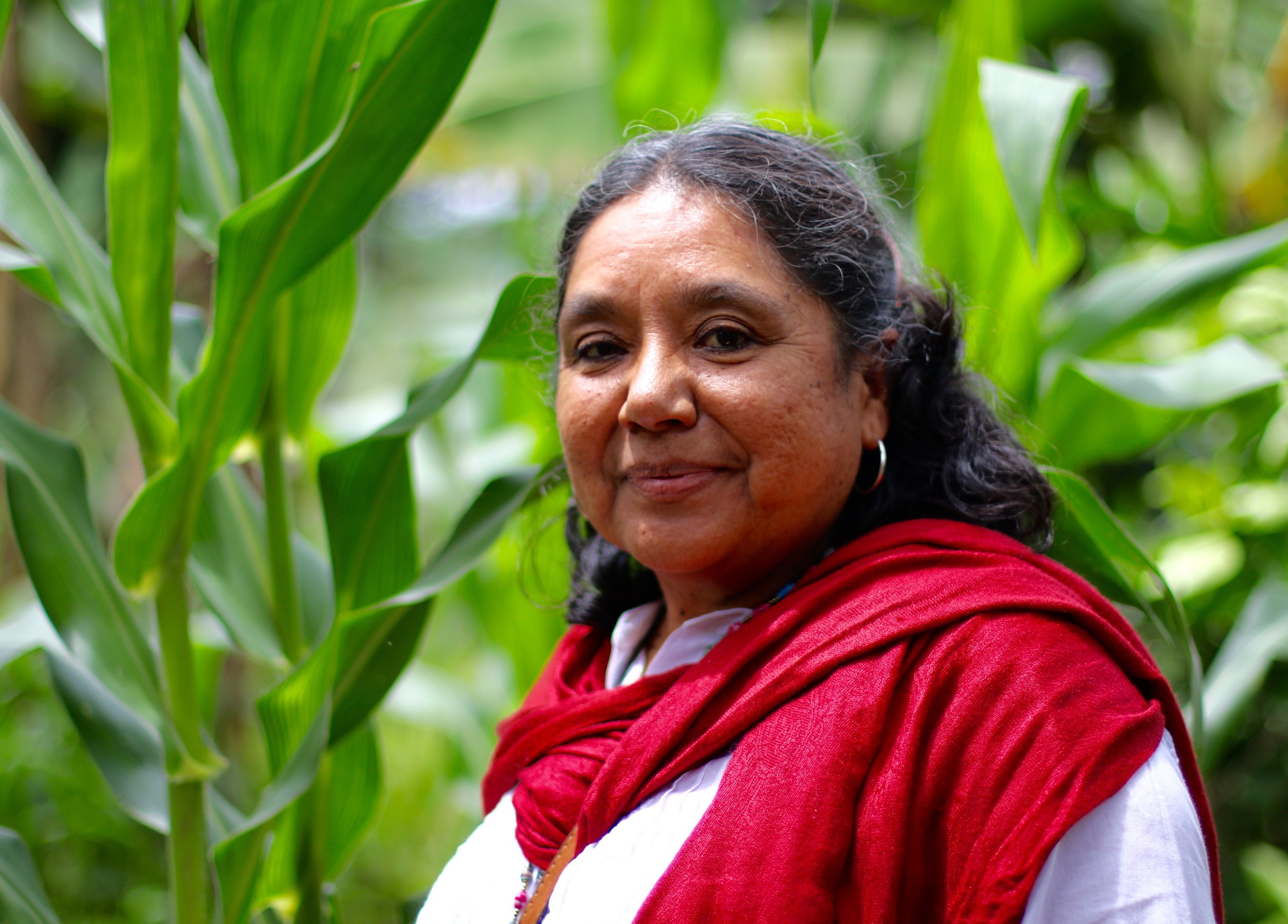 Agroecology: A Path We Walk On to Defend Mother Earth