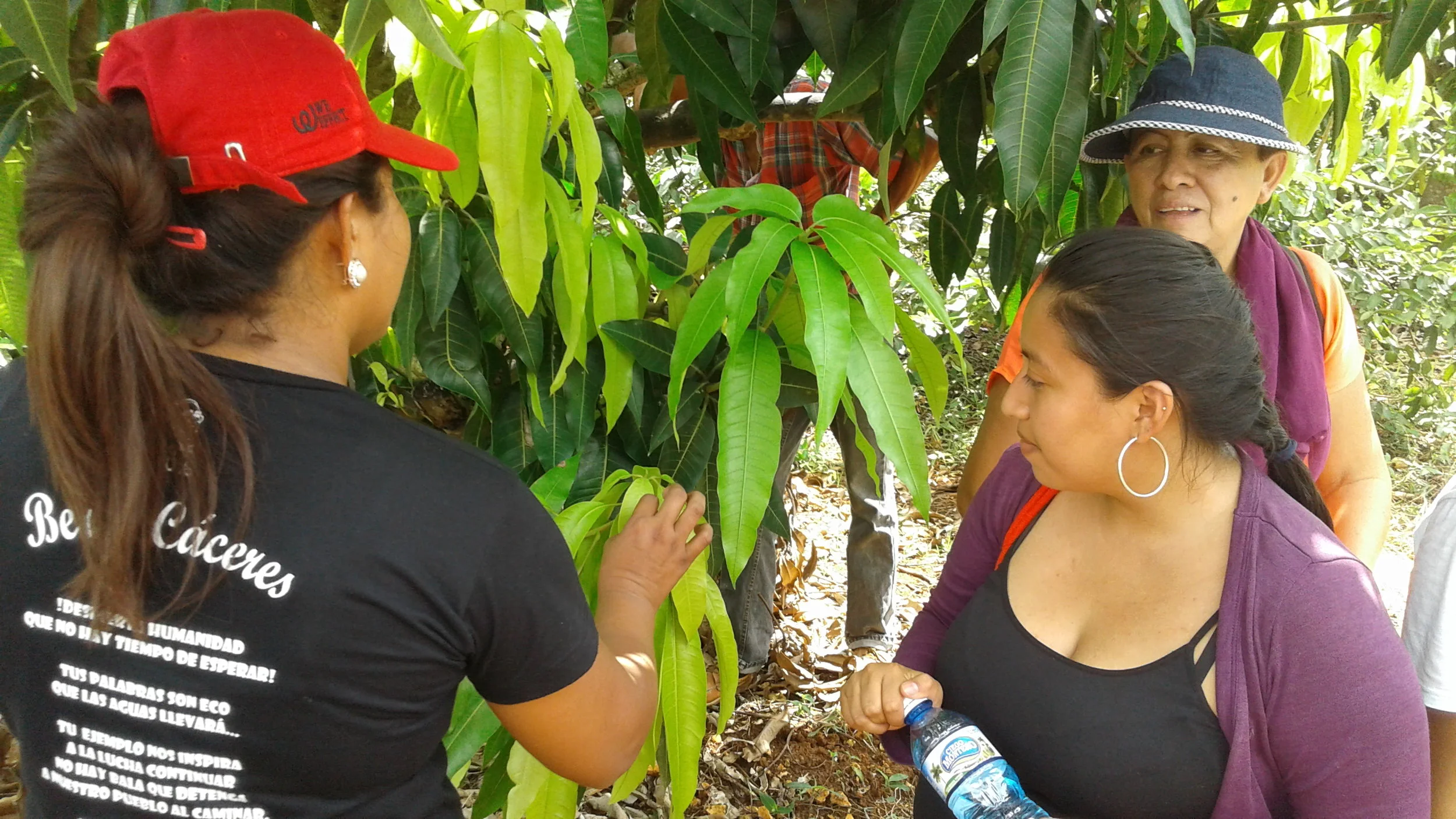 Advancing the peasant-Led Global AgroEcology and Peasant Seeds Agenda