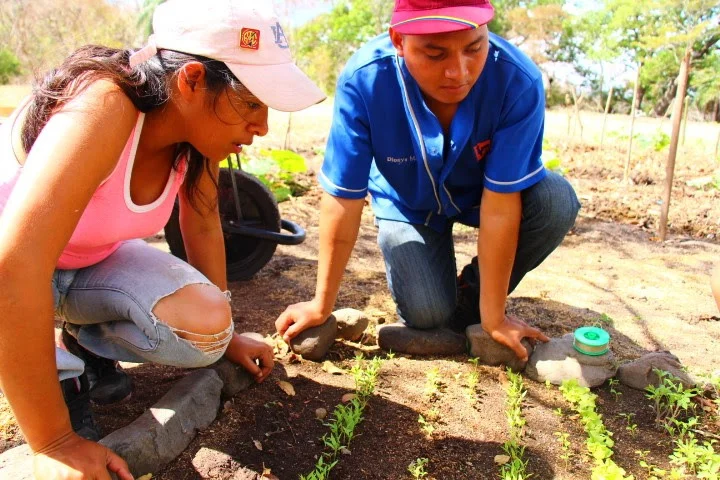 Facilitation of the Territorial Processes in AgroEcology with the Latin American Institute of AgroEcology