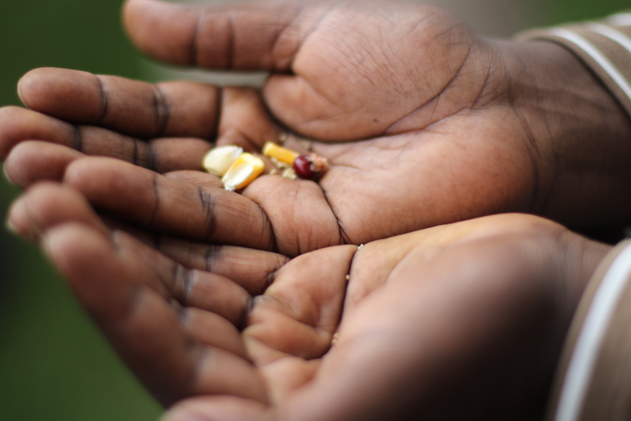 AFSA affirms the right of small farmers to have autonomy and control over their traditional seeds. Photo: Rucha Chitnis