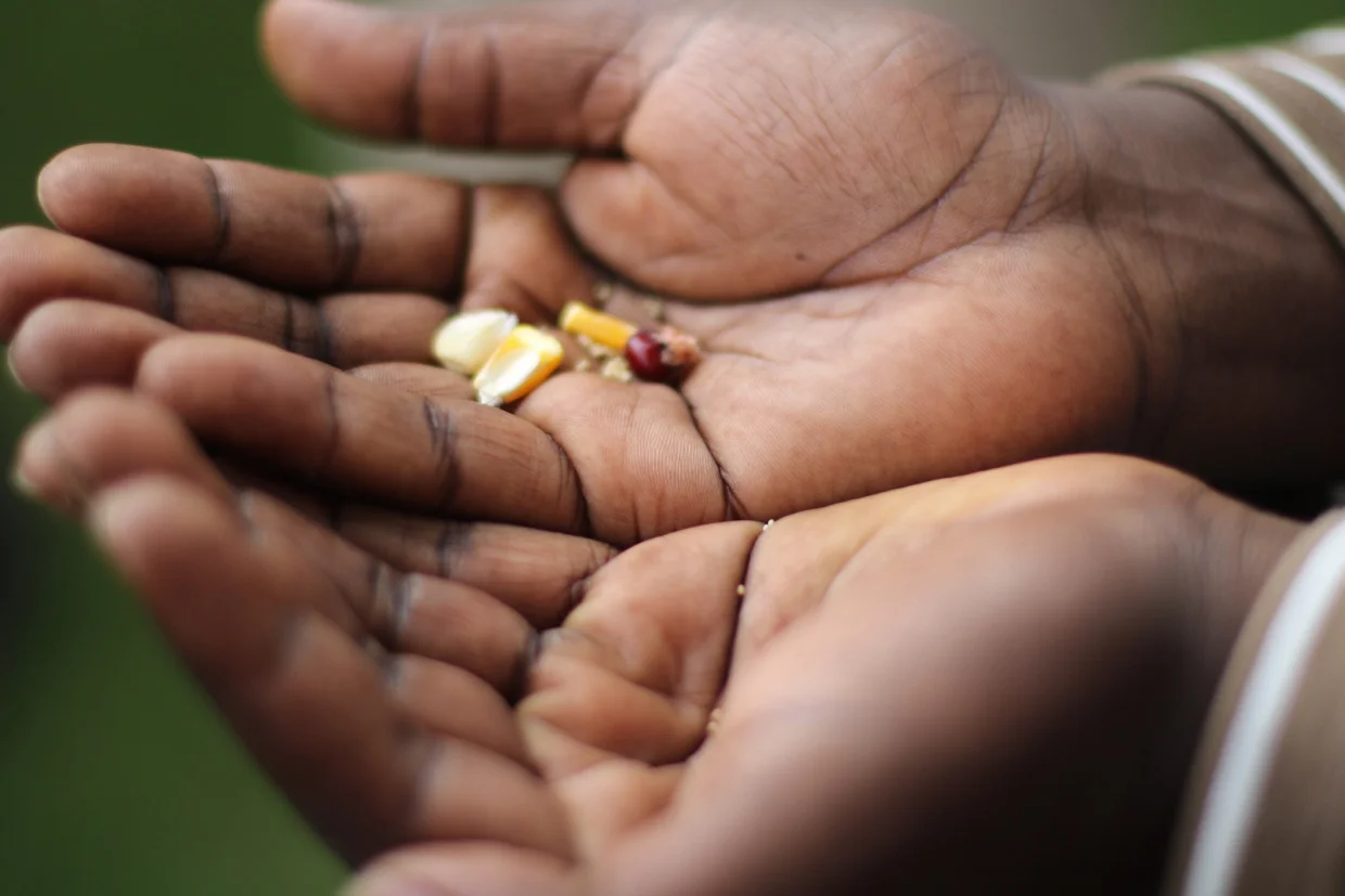 Four New Year’s Resolutions for Agroecology Funders