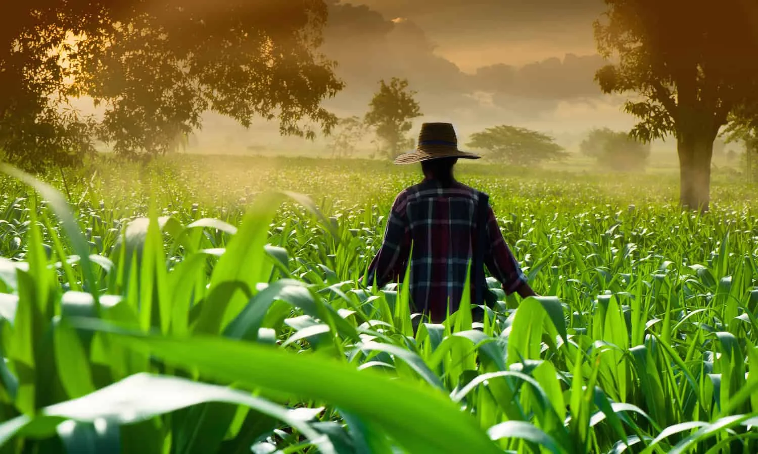 Will Agroecology be the Solution to Mitigate Climate Change? Food Tank Goes to the United Nations FAO to Make the Case
