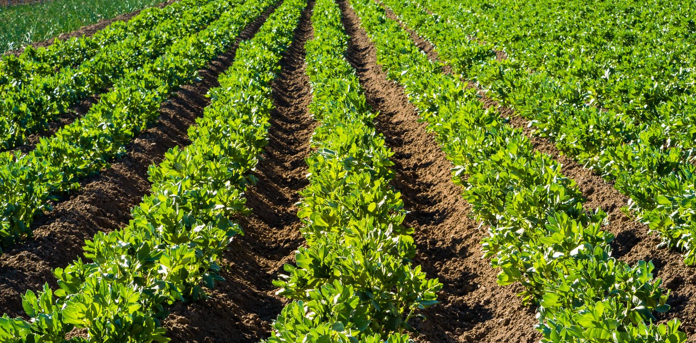 We know how food production needs to change if crisis is to be avoided – so why isn’t this happening