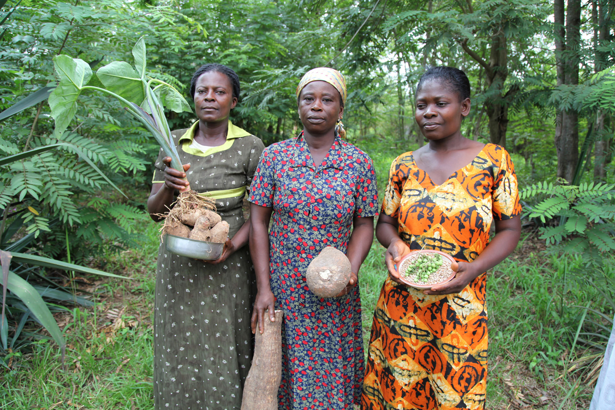 Agroecology is Advancing Around the Globe. Will the U.S. Take Part?