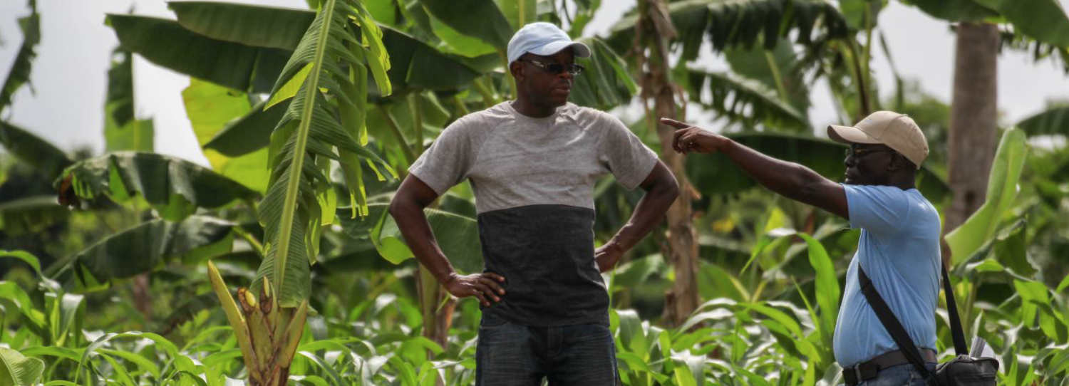 An interview with Kofi Boa—a Conservation Agriculture hero from Ghana