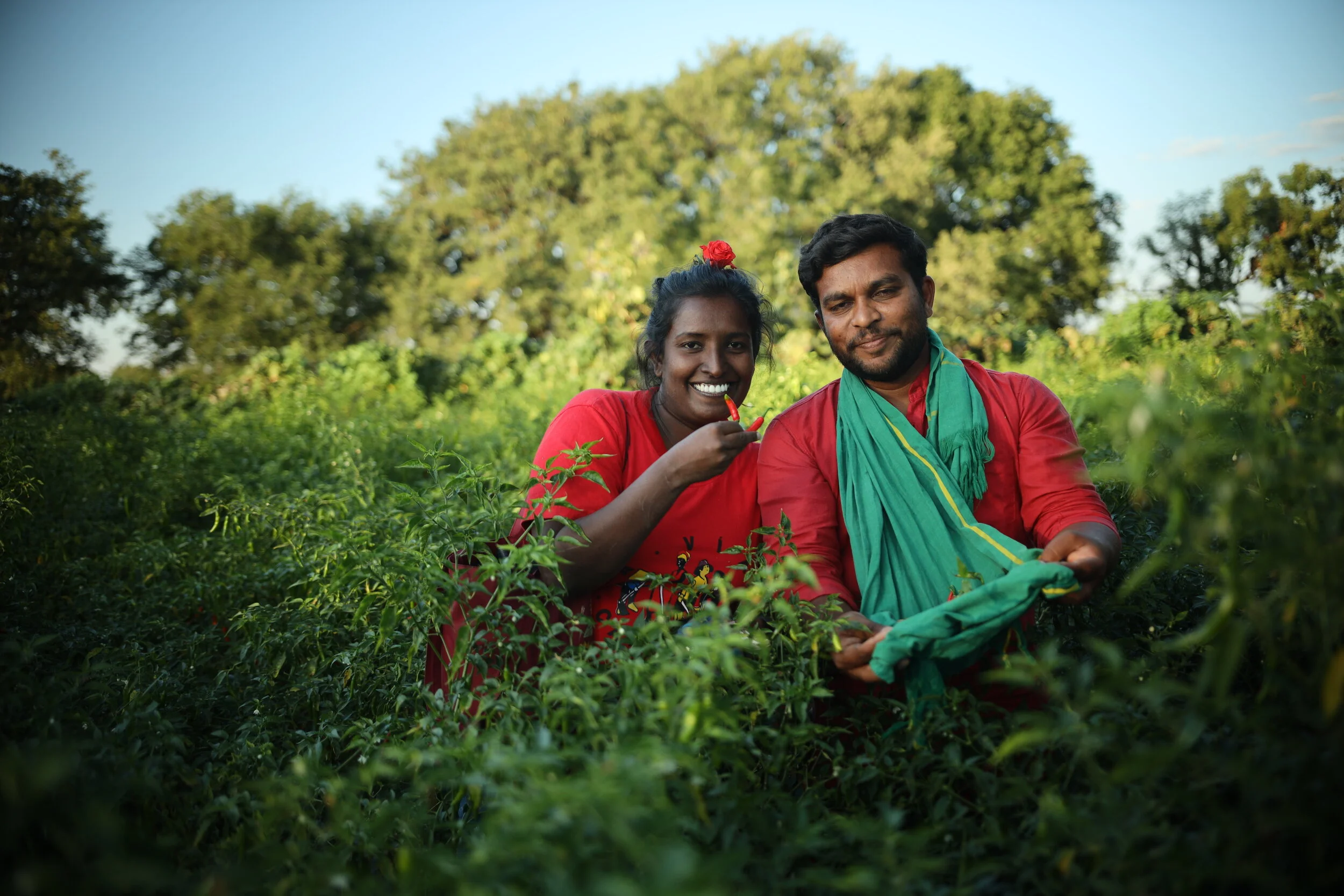  Azim Premji Philanthropic Initiatives (APPI), an Indian donor organization, has granted&nbsp; $14 million (100 crores) to the  Zero Budget Natural Farming  initiative in Andhra Pradesh -- specifically towards technical support and natural farming fe