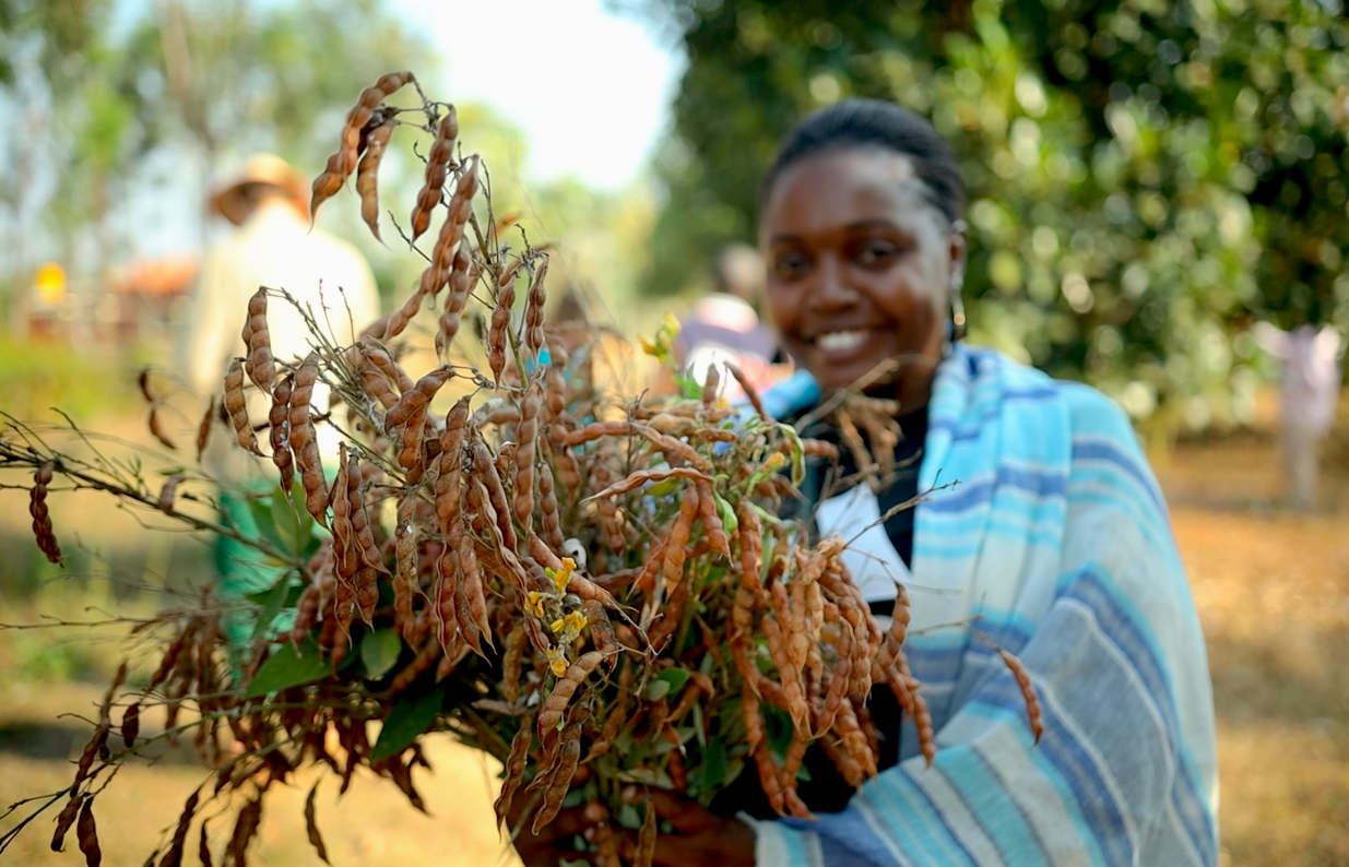 Rutendo Zendah, a research and advocacy officer at the African Center for Biodiversity , (ACB) works to strengthen biosafety laws and policies to stop the influx of genetically modified organisms in South Africa and beyond. “Our organization is res