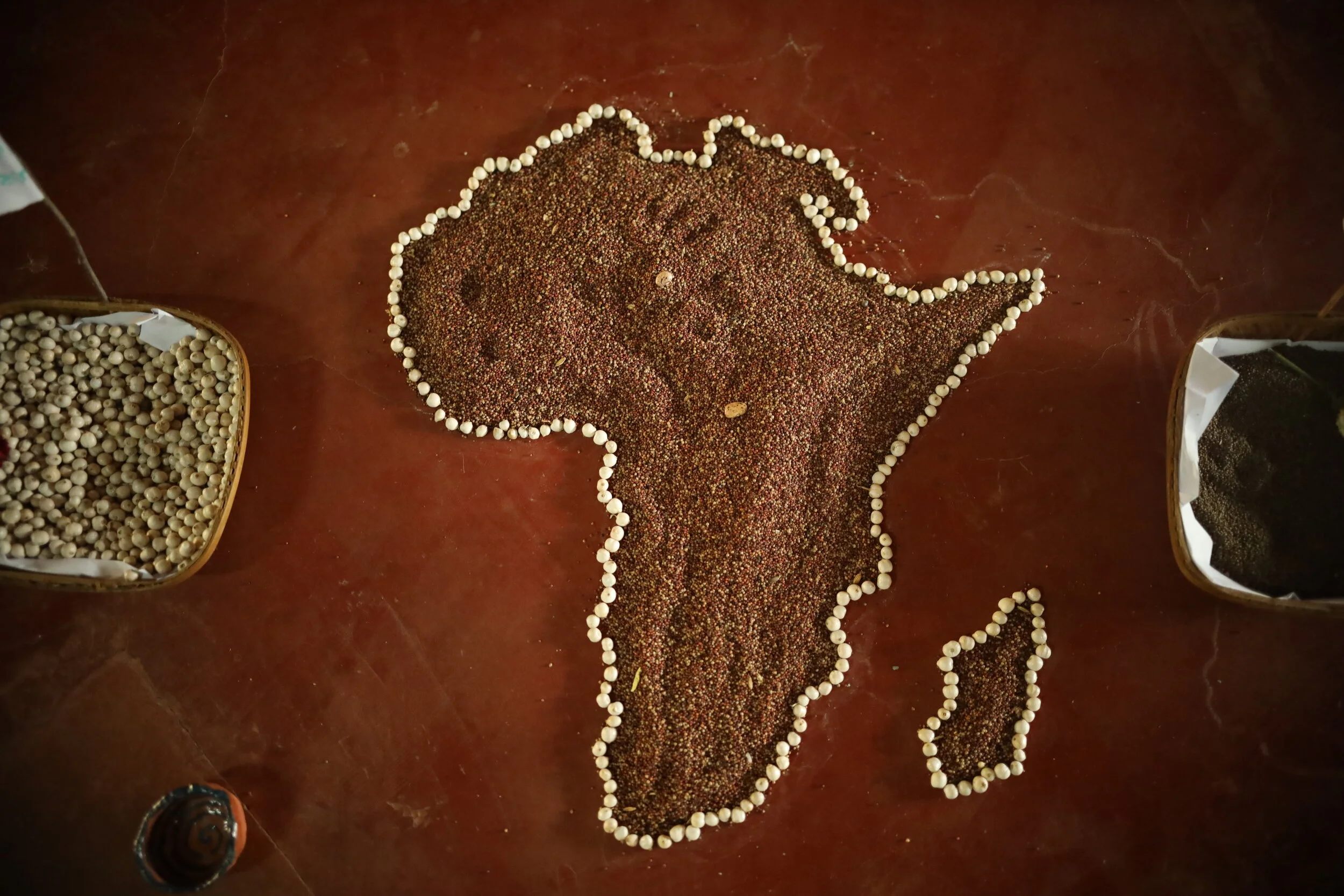  Participants emphasized just how important it is to communicate evidence and successes to wider audiences. Million Belay, Coordinator of the  Alliance for Food Sovereignty in Africa , shared how AFSA has documented local impacts in partnership with 