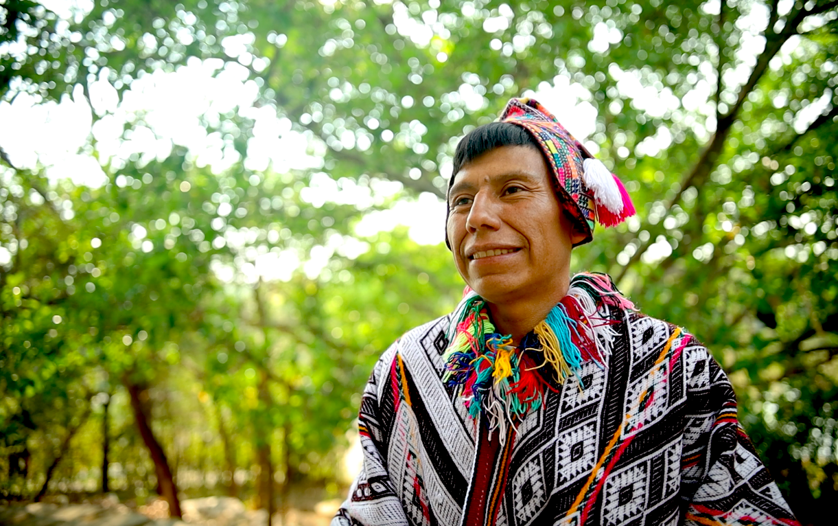 Ricardo Pacco Chipa is one of the stewards of the Potato Park in Cusco, Peru. He is a member of the International Network of Mountain Indigenous Peoples (INMIP). Together with other indigenous farmers, Ricardo conserves a staggering 1367 varieties o