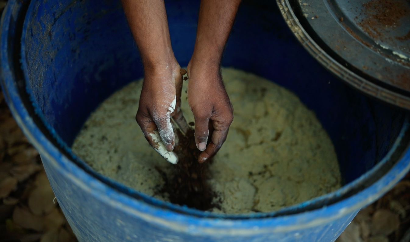 Farmers at Amrita Bhoomi demonstrated multiple practices of natural farming, including the preparation of jivamrita , a fermented microbial culture made from cow dung, cow urine and other organic materials, such as jaggery and flour made with pulse