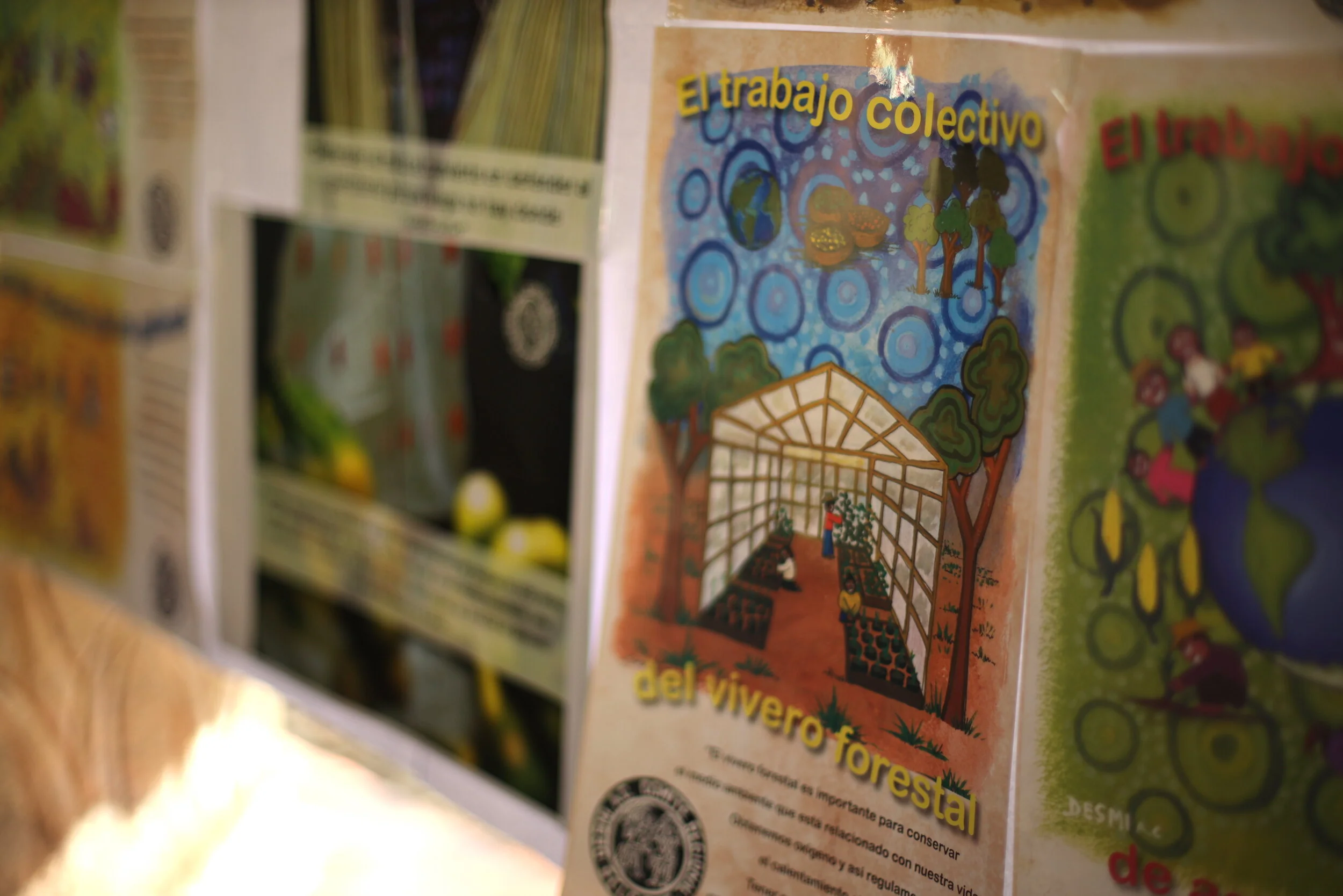  A delegation of farmers and activists from Mexico shared how free market policies have undermined smallholder farmers. Grassroots organizations have turned to alternative models, like agroecology to foster vibrant local economies. AEF partners in La