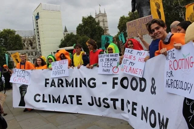 Growing Roots in the Heart of the Empire