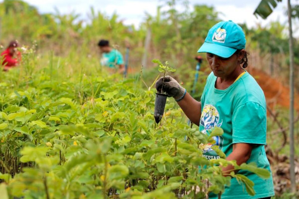 Brazil’s Landless Workers Persist through Agroecology