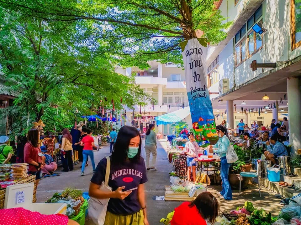 COVID-19 lessons for building more resilient food systems