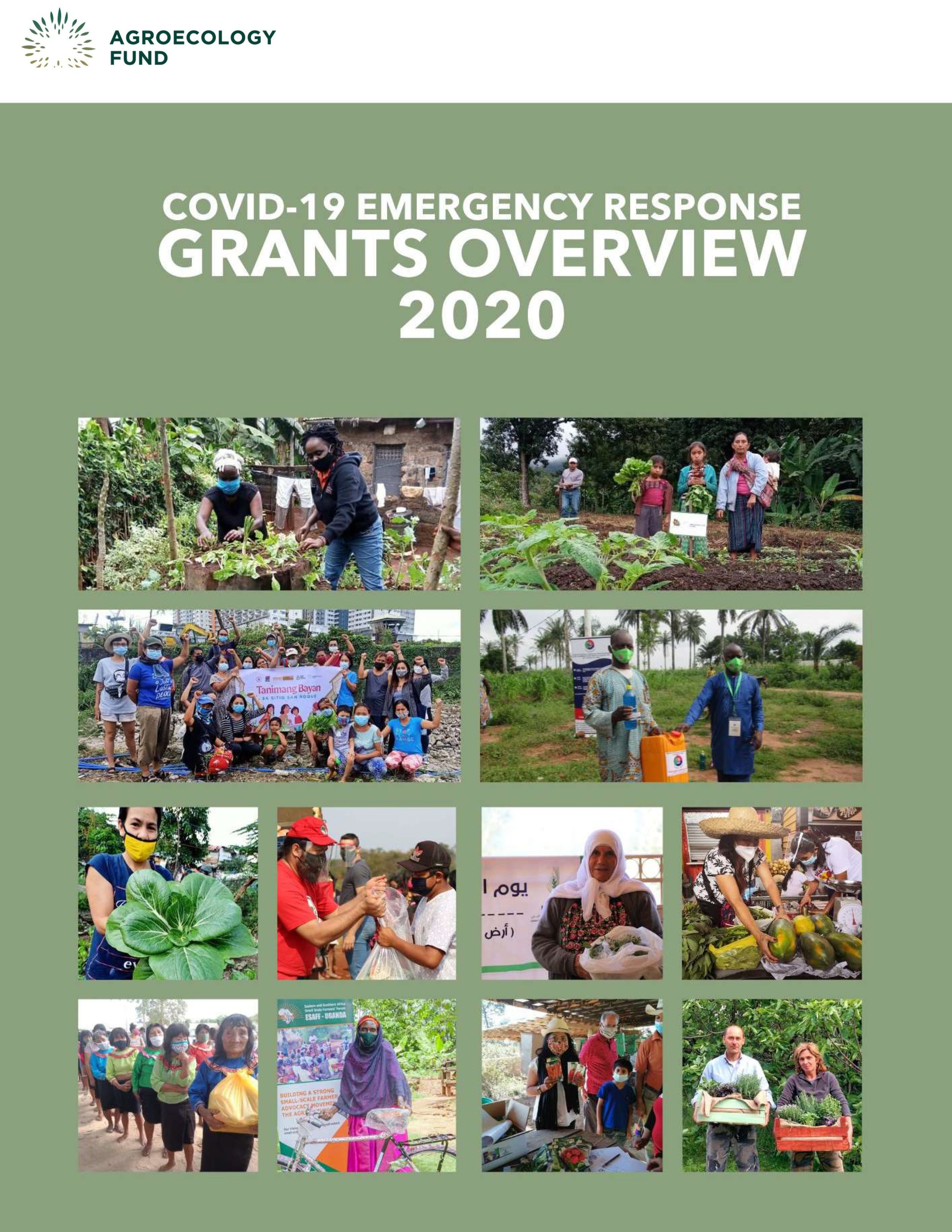 COVID-19 Emergency Response - Small Grants Approved