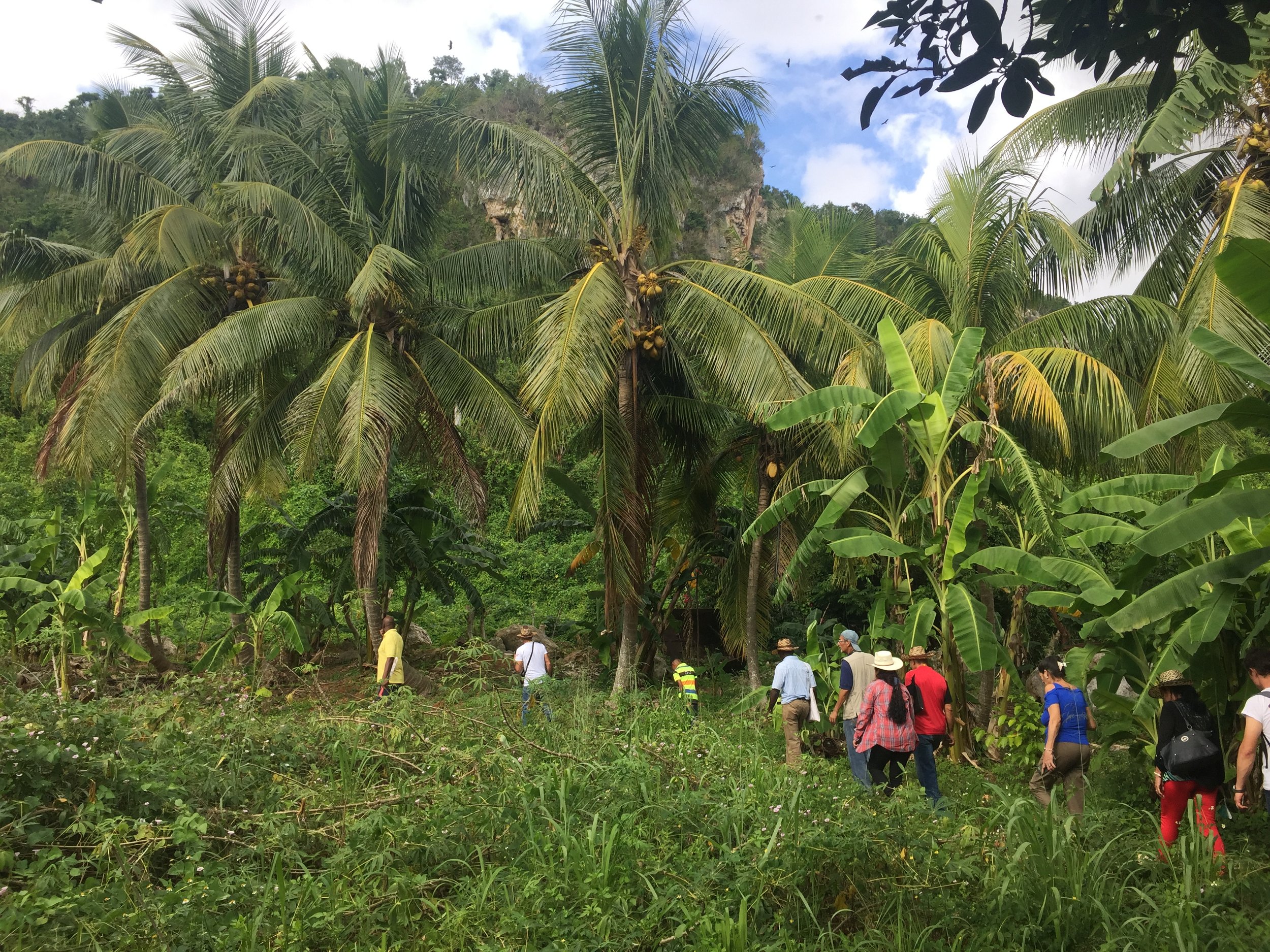 A personal reflection on agroecology movements in Cuba