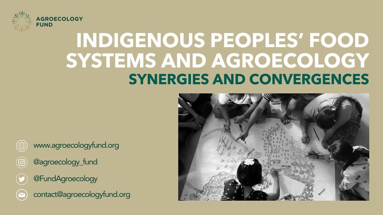 WEBINAR - Indigenous Peoples’ Food Systems and Agroecology: Synergies and Convergences