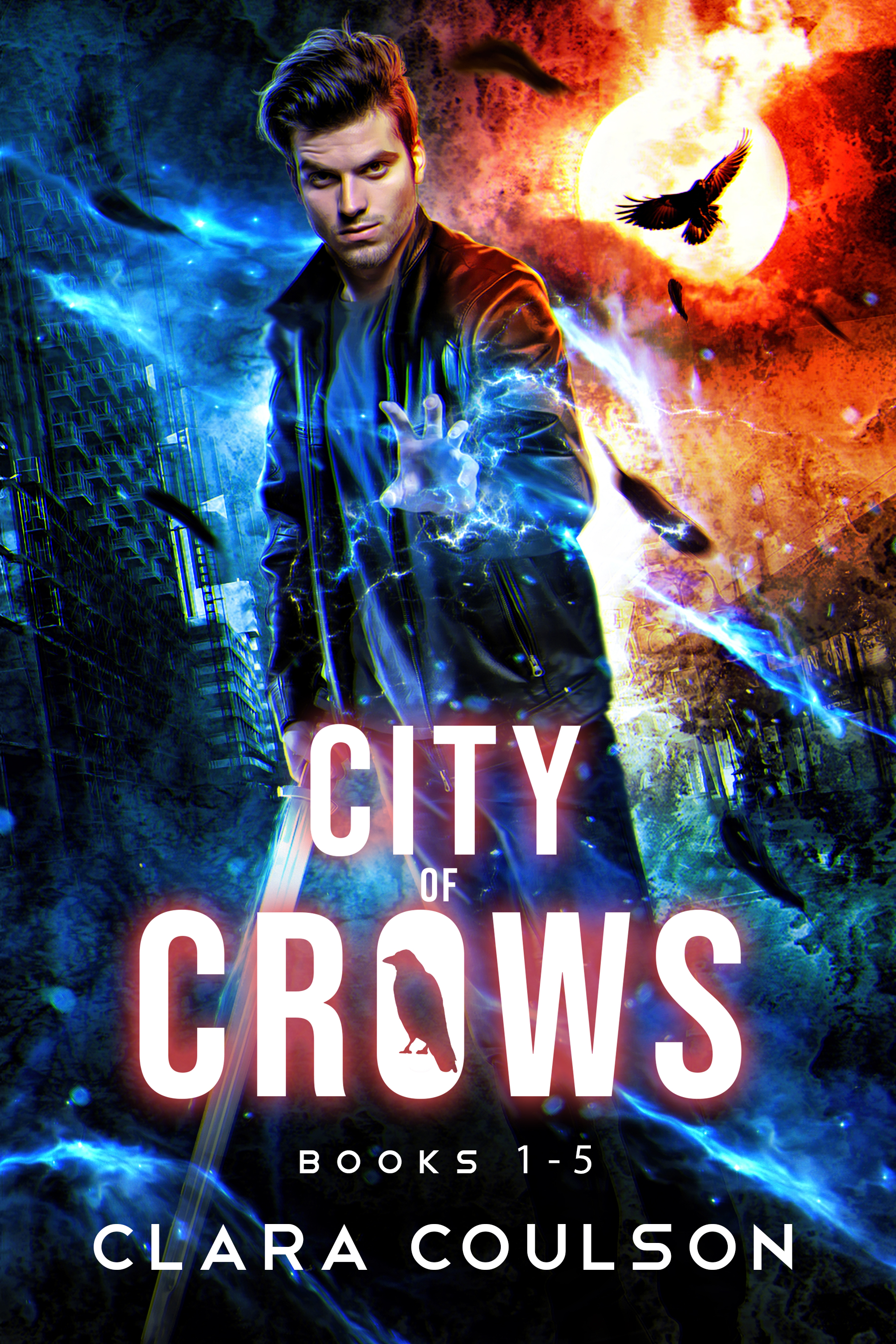 Boxset City of Crows.jpg