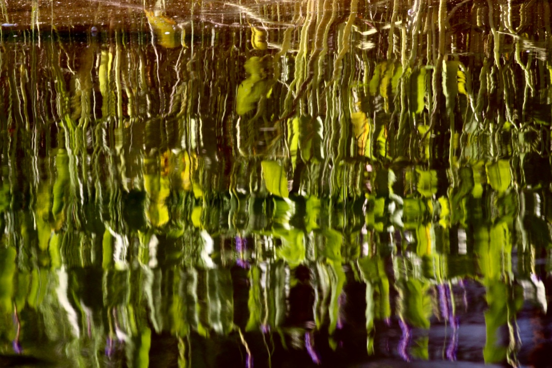Monet Would Love This II