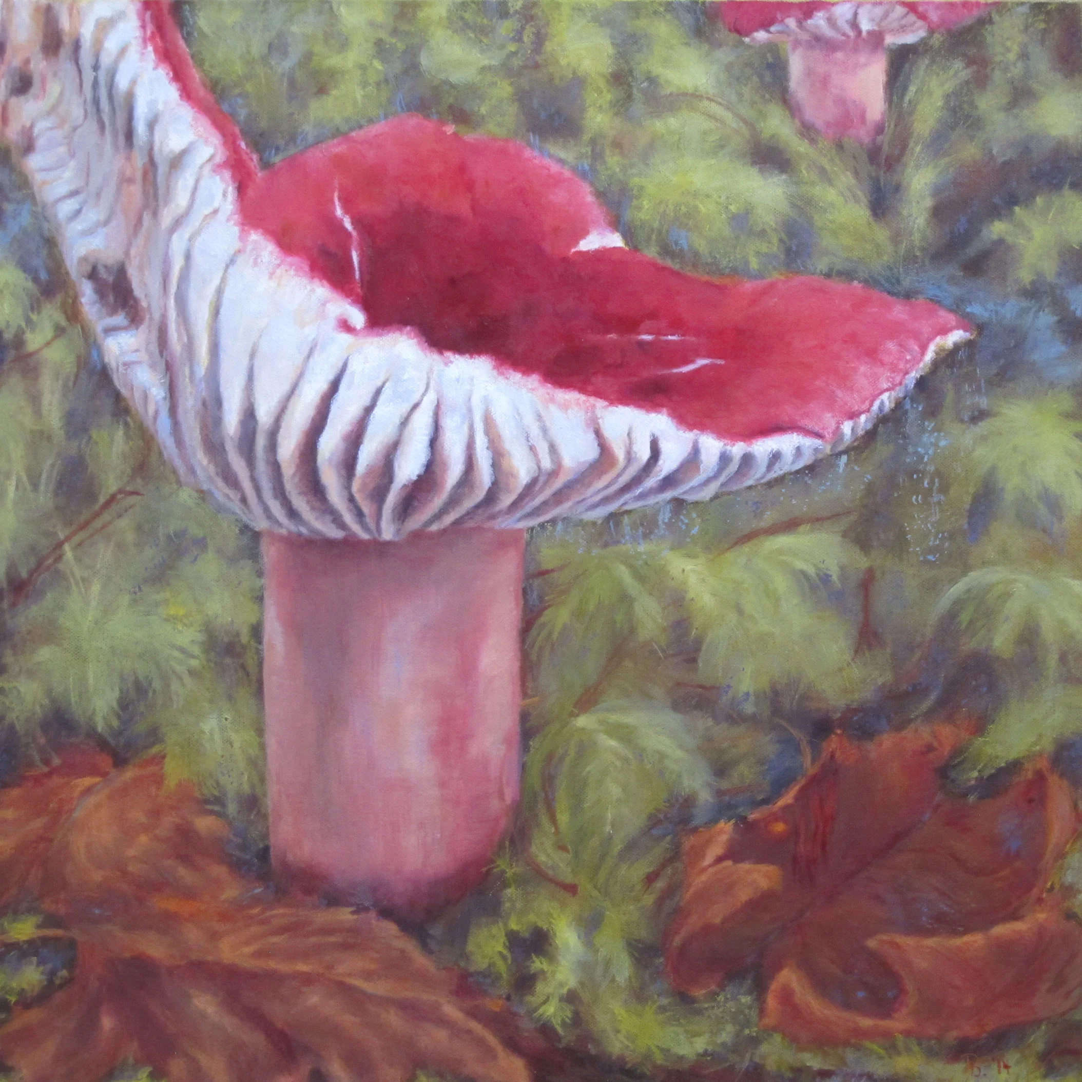 Red Russula