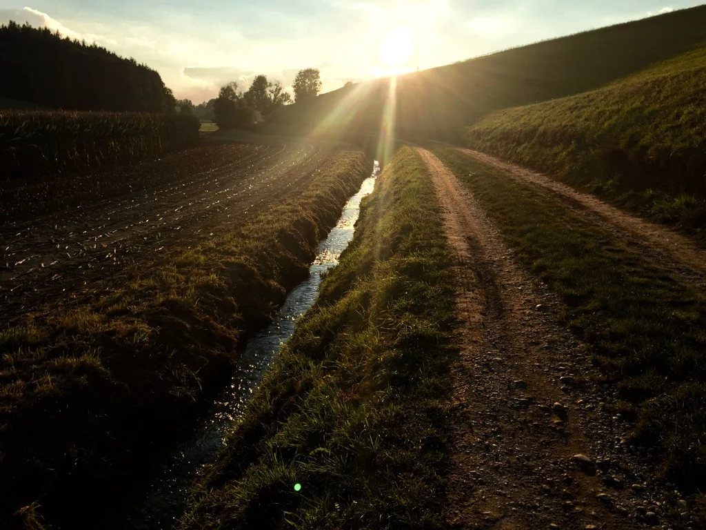 Towards The Sunset