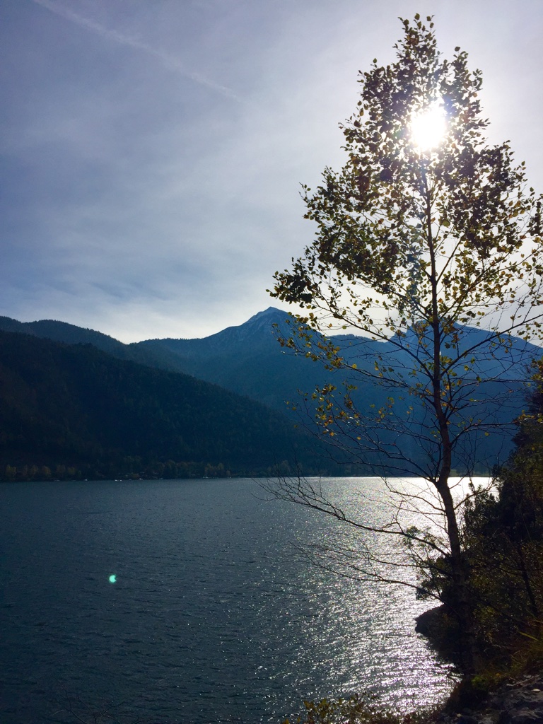 Towering Over The Lake