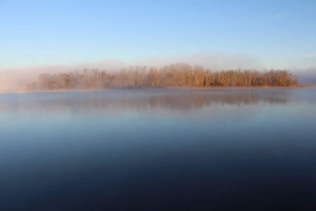Serenity Now