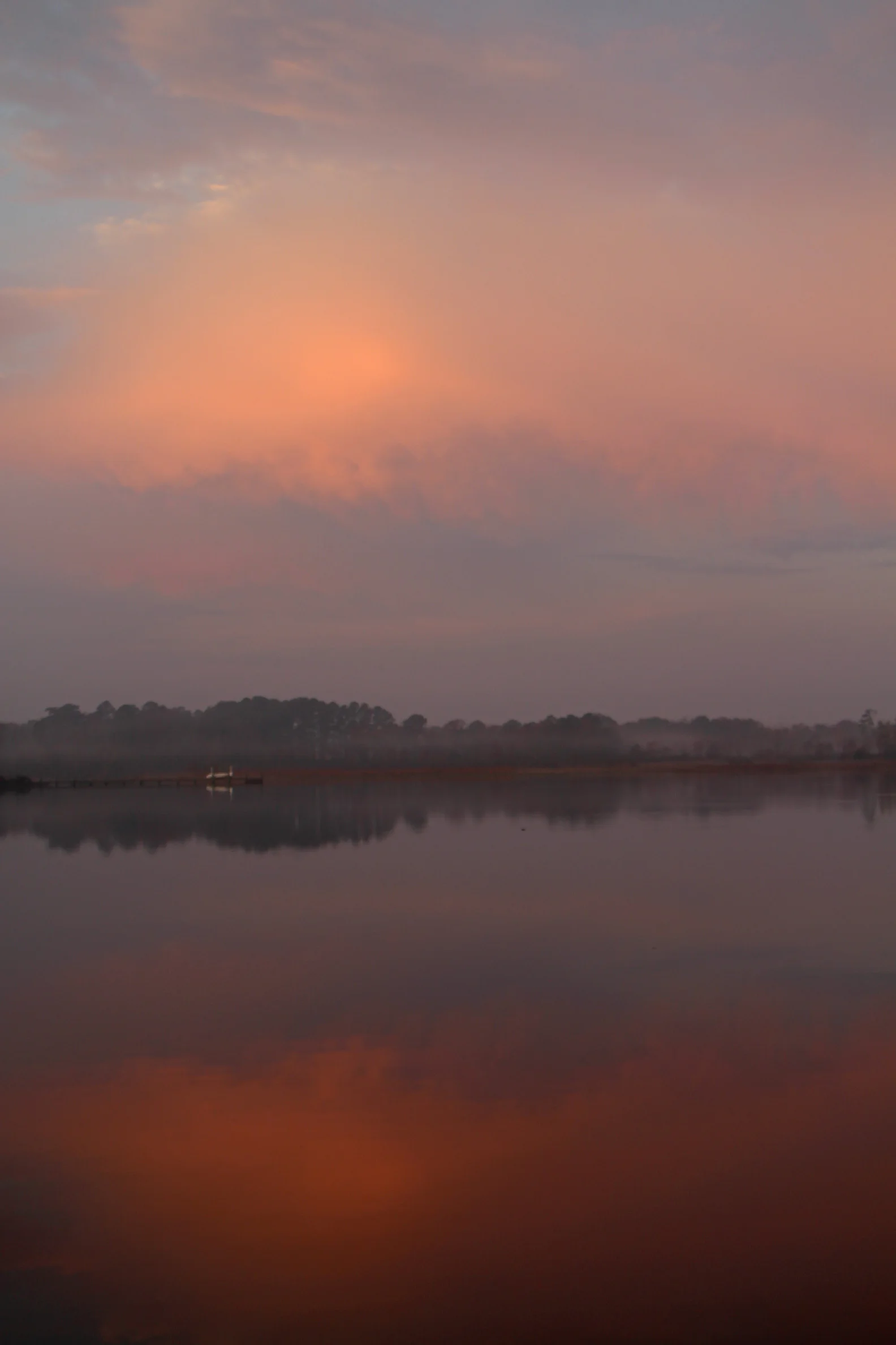 Misty Morning