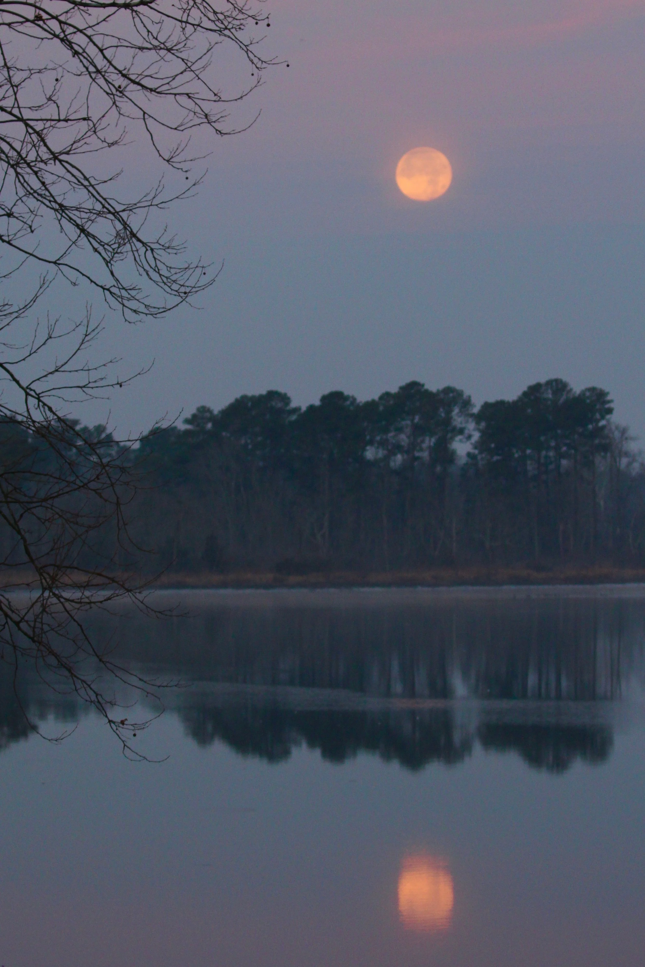 Harvest Moon