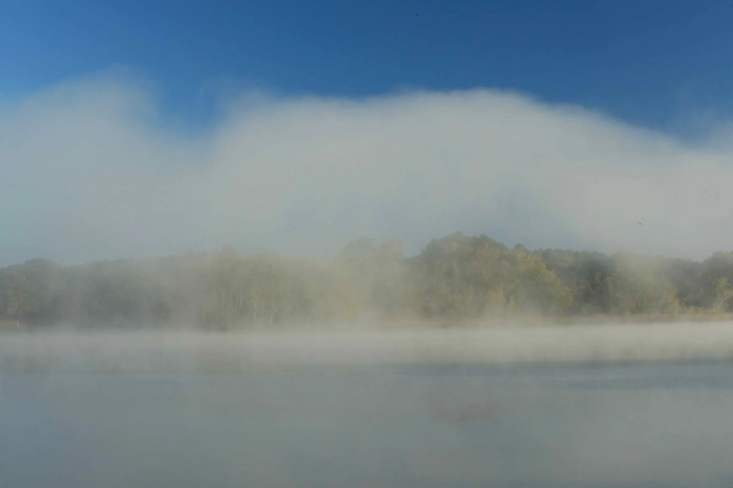White Fog Cloud over the Wicomico