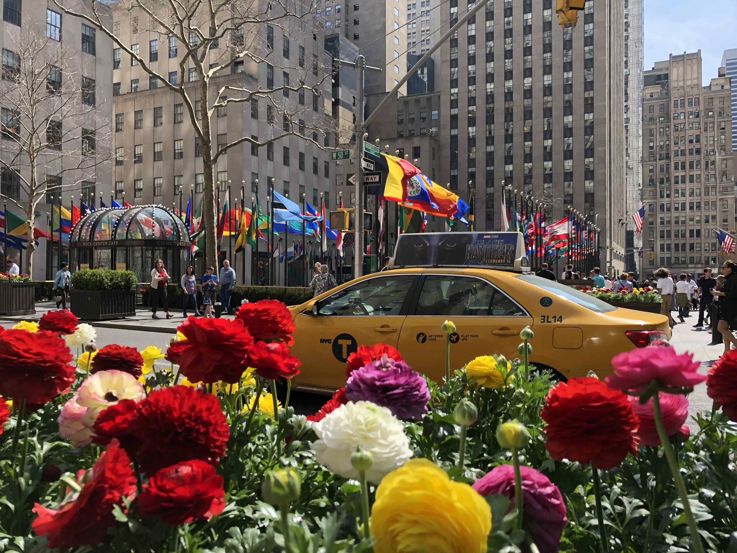 Springtime at Rockefeller Plaza