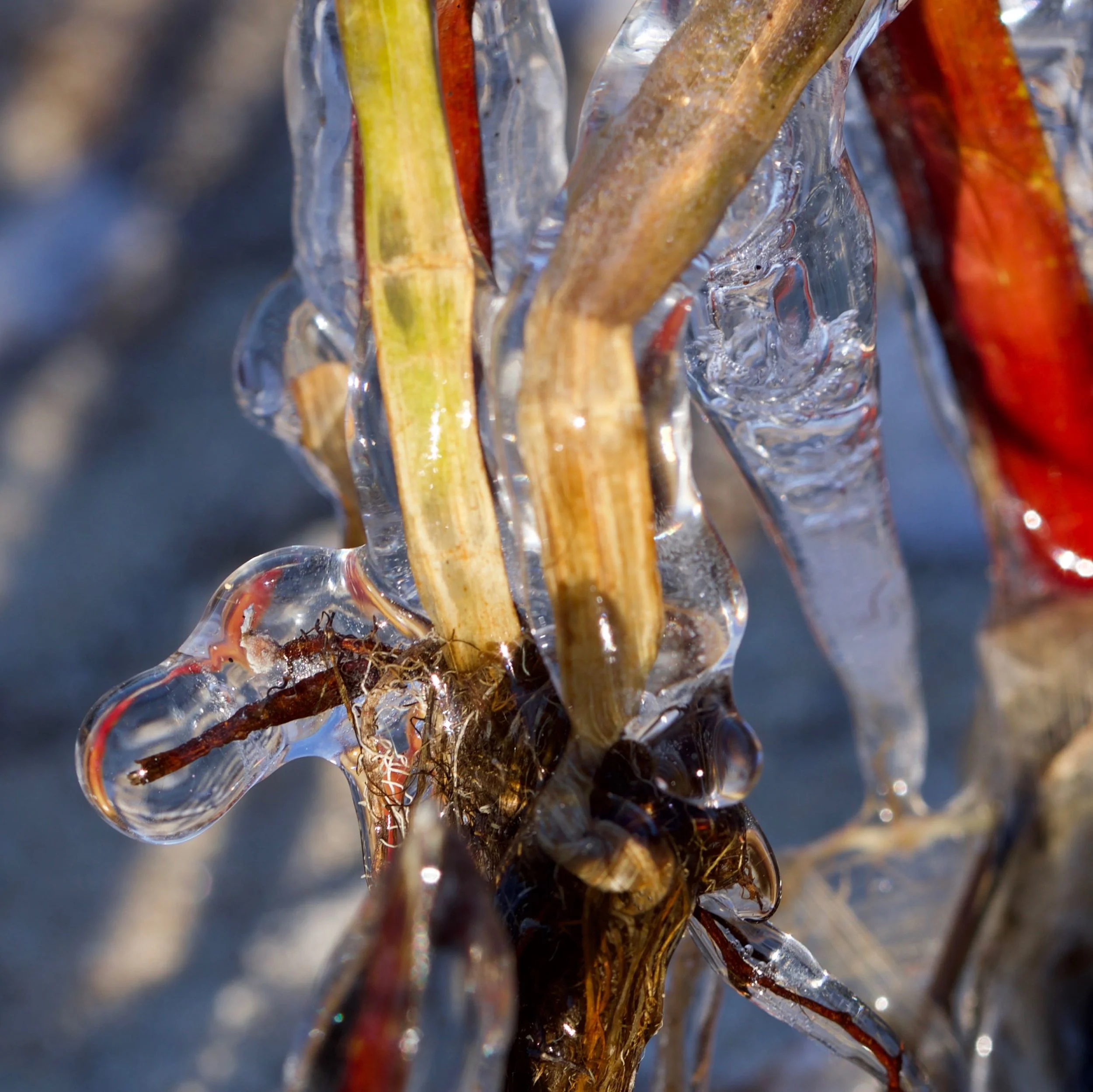 Frozen Complexity No.3