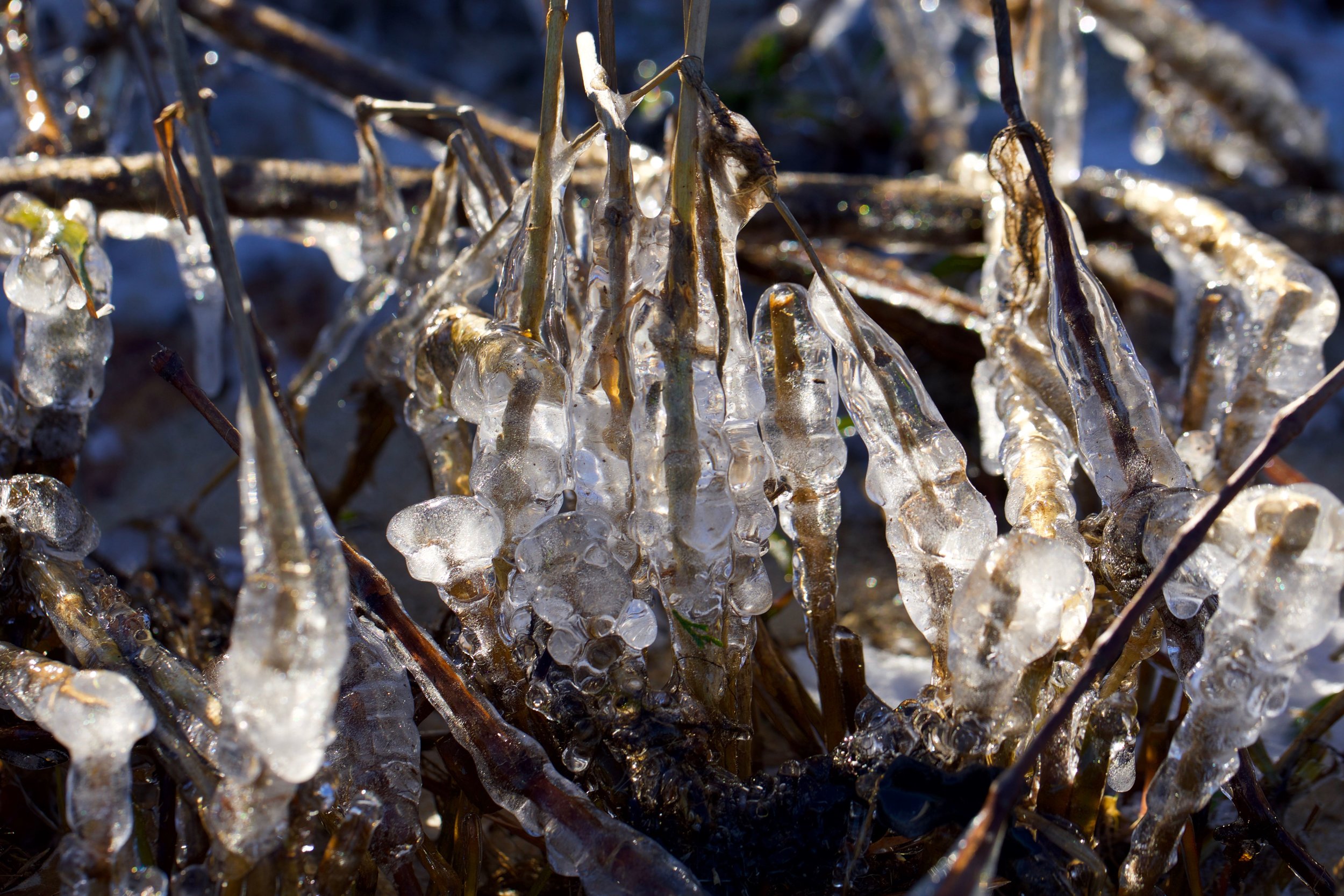 Frozen Cityscape