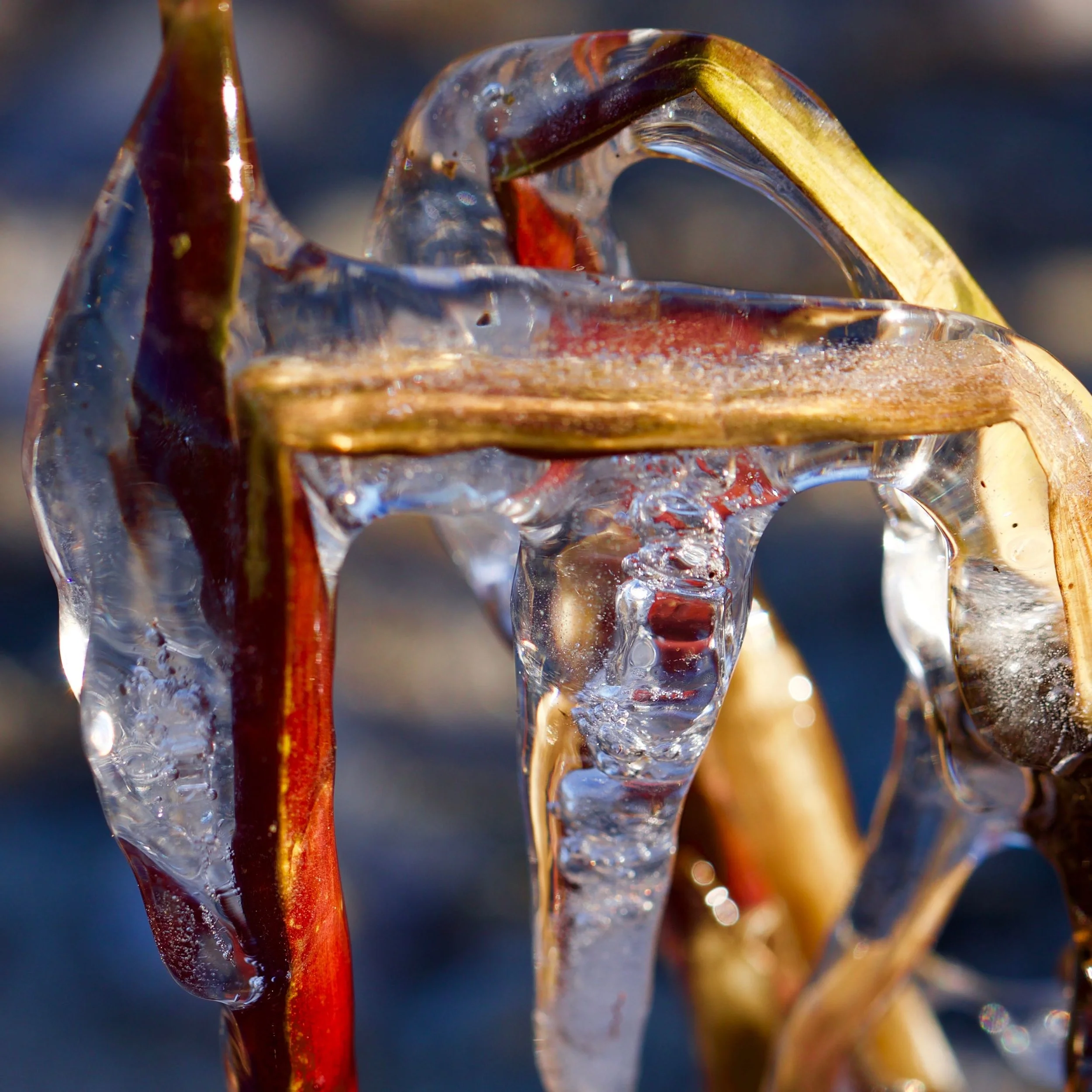 Frozen Complexity No. 2