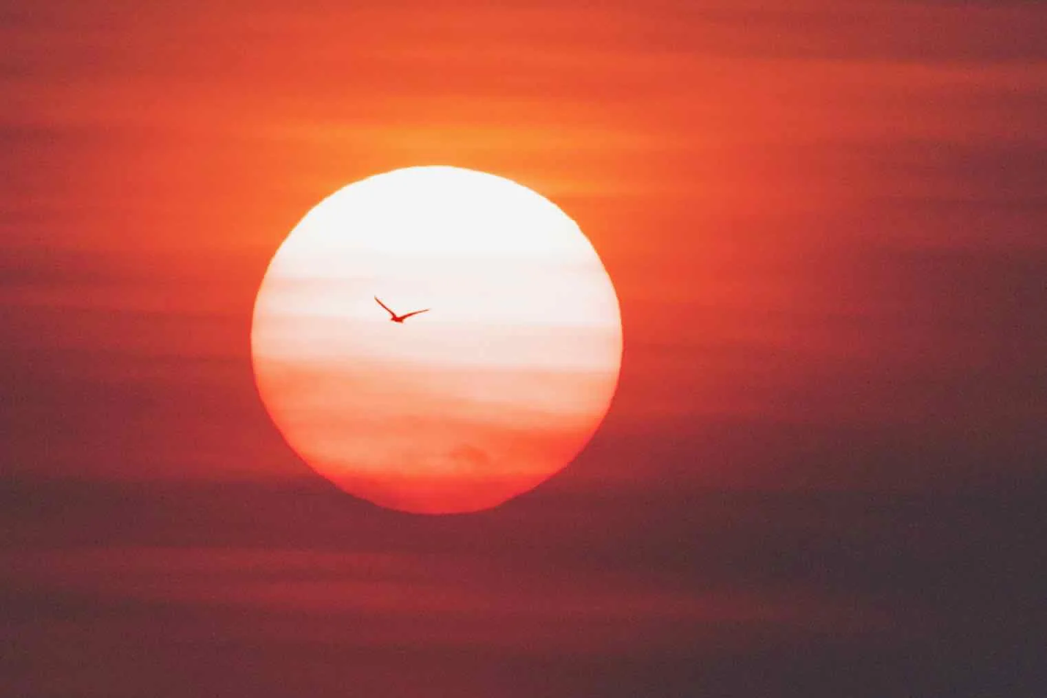 Flying into the Sunset