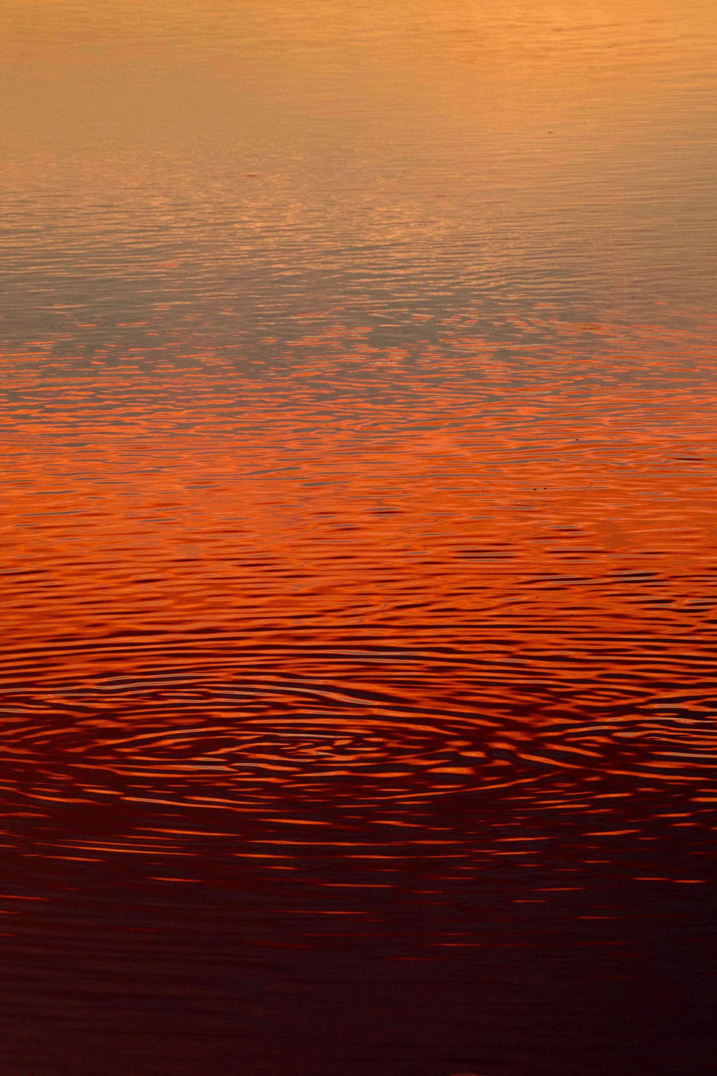 Rothko on the Water